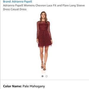 BNWTAdrianna Papell Lace Fit and Flare Long Sleeve